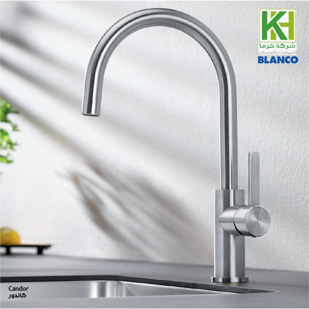 Picture of BLANCO Candor sink mixer